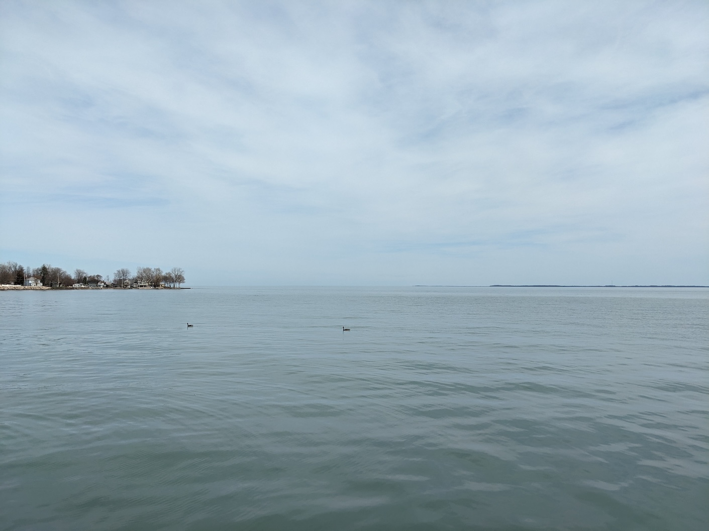 Lake Erie, a distant shore to the left, light clouds, and two ducks