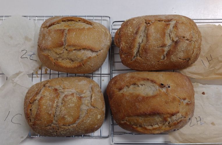four loaves, from top